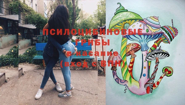 прущие грибы Алексин