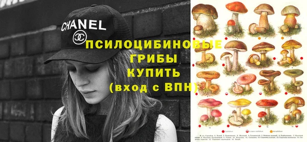 ГАЛЛЮЦИНОГЕННЫЕ ГРИБЫ Алексеевка