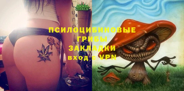прущие грибы Алексин