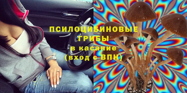 ГАЛЛЮЦИНОГЕННЫЕ ГРИБЫ Алексеевка