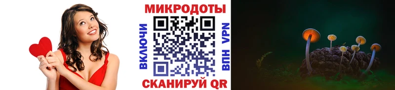 Галлюциногенные грибы Psilocybe  Лениногорск 